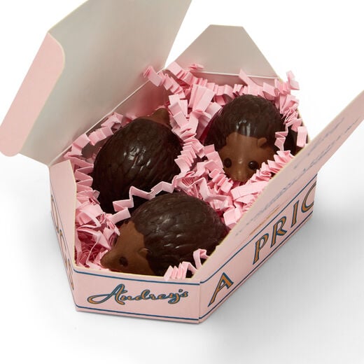 Chocolate hedgehogs by Audrey's